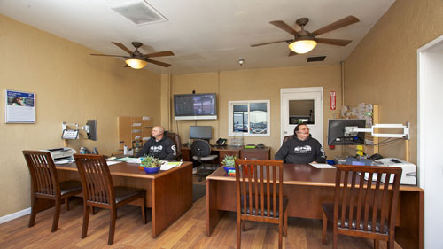 Staff members at A+ Japanese Auto Repair in San Carlos, CA